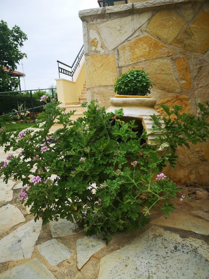 Hotel Patelis Poúlithra 외부 사진